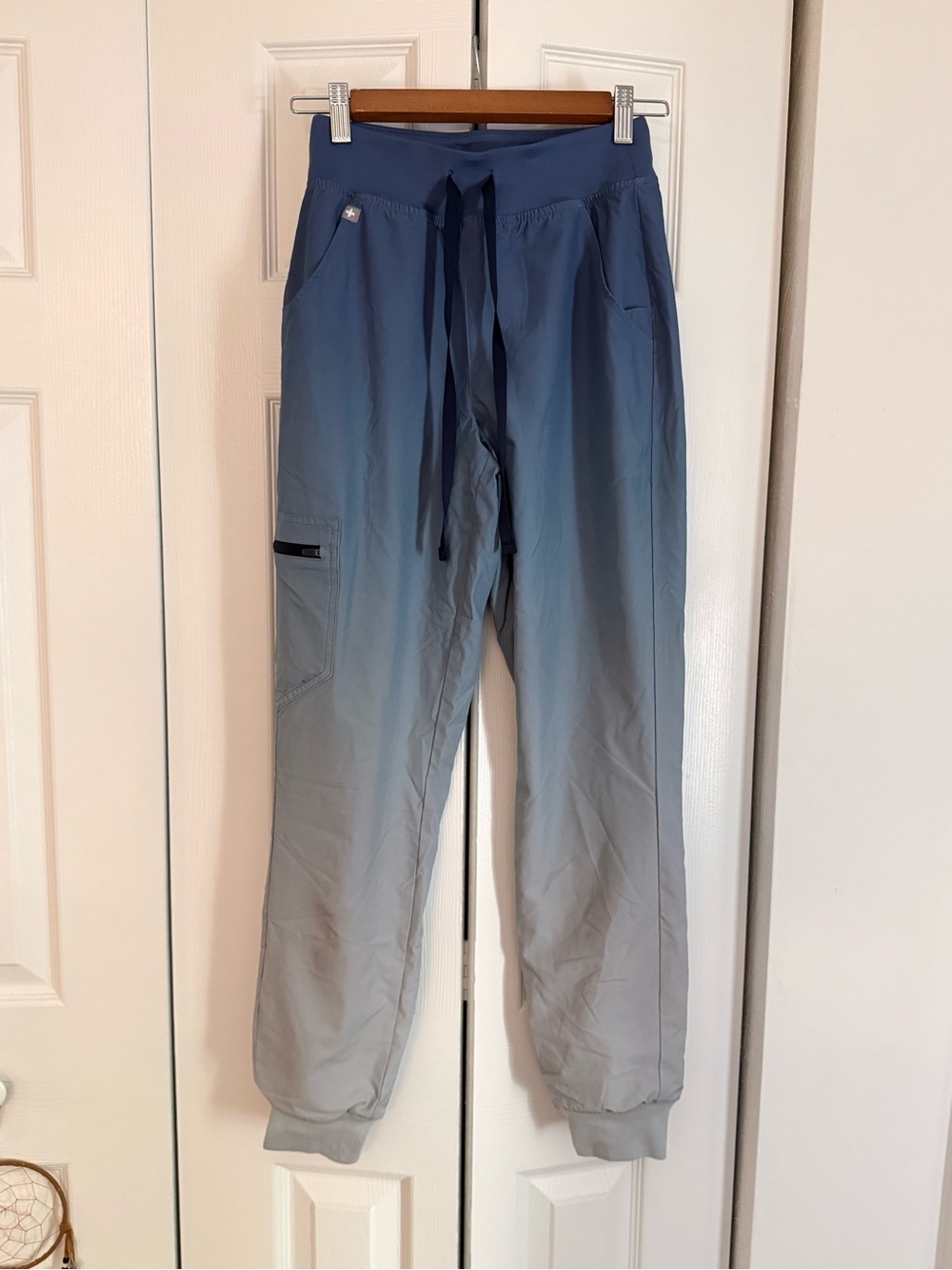 FIGS Ombré Zamora Joggers